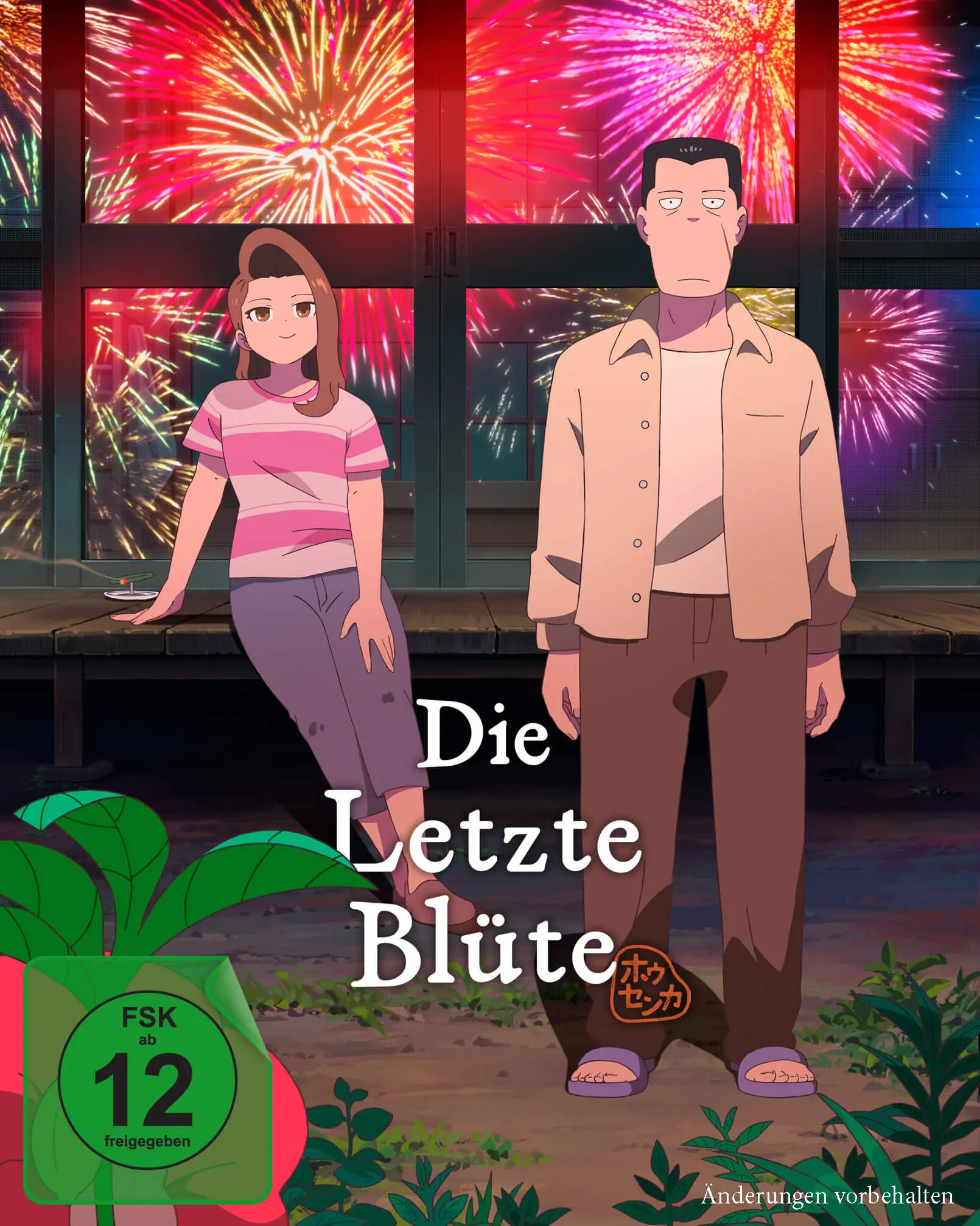 Anime-Filmplakat, illustrierter Einband, Feuerwerk, zwei Figuren, deutscher Text