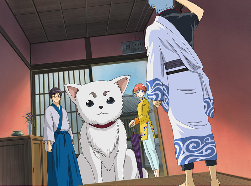 Gintama Box 4: Episode 38-49 Blu-ray Gintama Box 4: Episode 38-49 Blu-ray