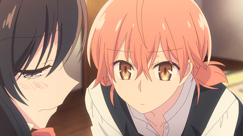 Bloom Into You - Volume 2: Episode 05-08 [DVD] Image 5
