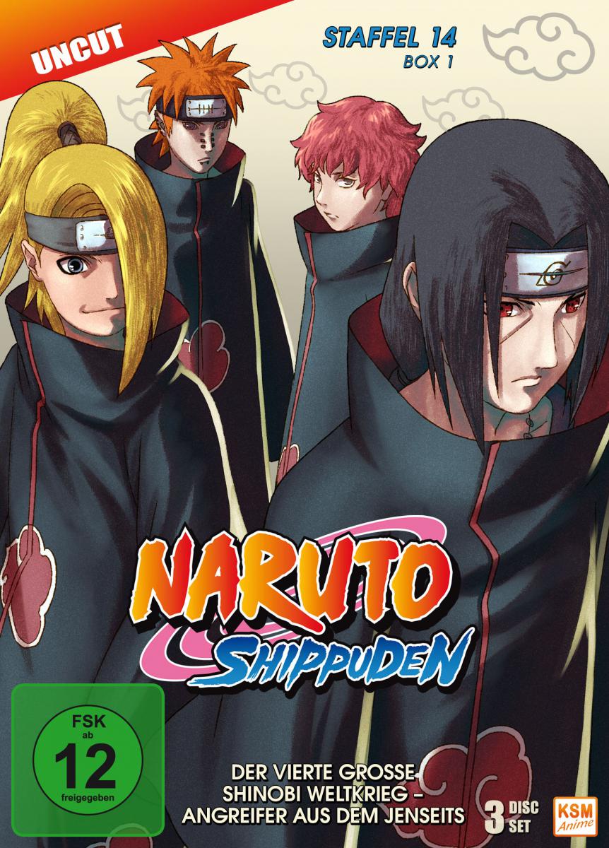 Naruto Shippuden - Staffel 14 Box 1: Episode 516-528 (uncut) [DVD] Cover