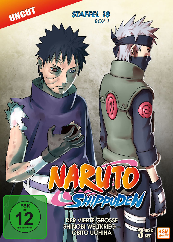 Naruto Shippuden - Staffel 18 Box 1: Episode 593-602 (uncut) [DVD] Cover