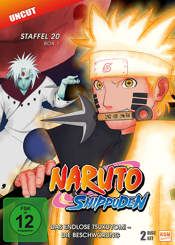 Naruto Shippuden - Staffel 20 Box 1: Episode 634-641 (uncut) [DVD]