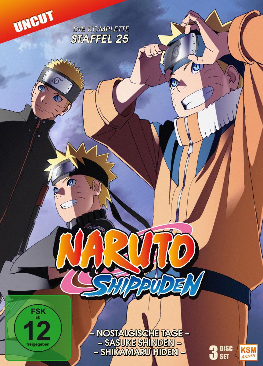 Naruto Shippuden - Staffel 25: Episode 700-713 (uncut) [DVD]