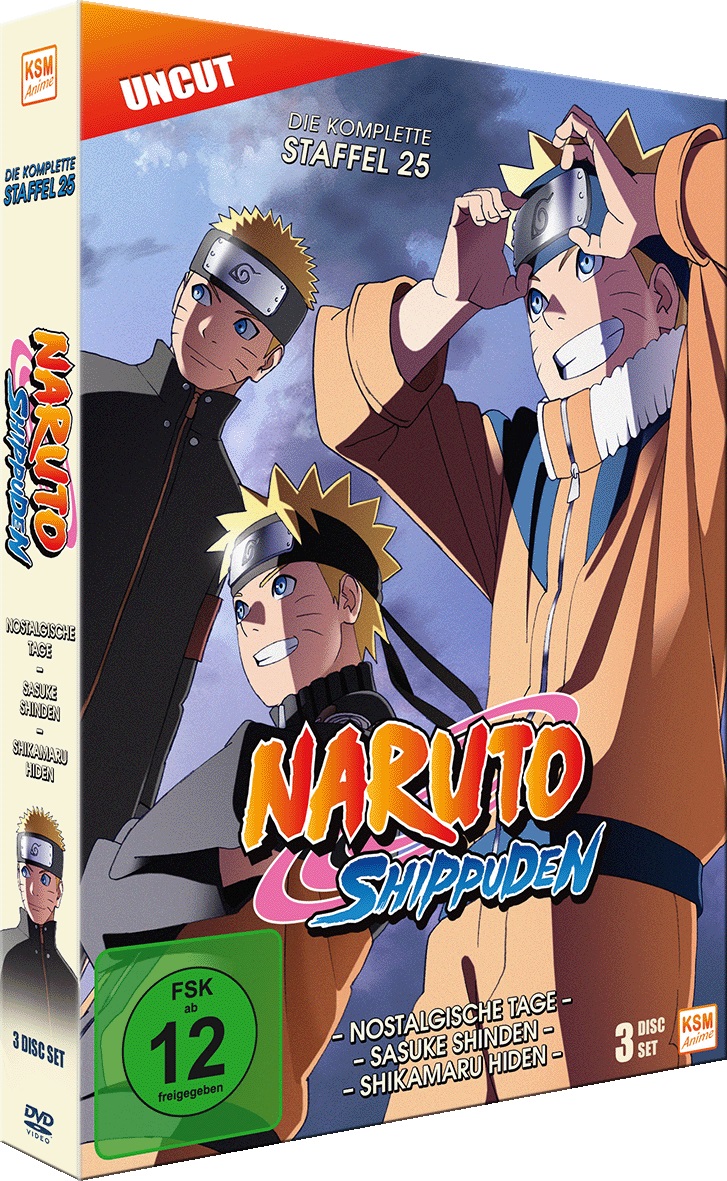 Naruto Shippuden - Staffel 25: Episode 700-713 (uncut) [DVD] Image 14