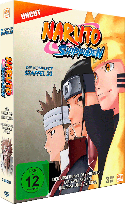 Naruto Shippuden - Staffel 23: Episode 679-689 (uncut) [DVD] Image 23