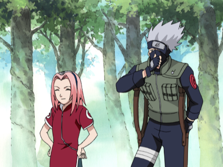 Naruto Edition - Staffel 1 Naruto & Naruto Shippuden Blu-ray Naruto Edition - Staffel 1 Naruto & Naruto Shippuden Blu-ray