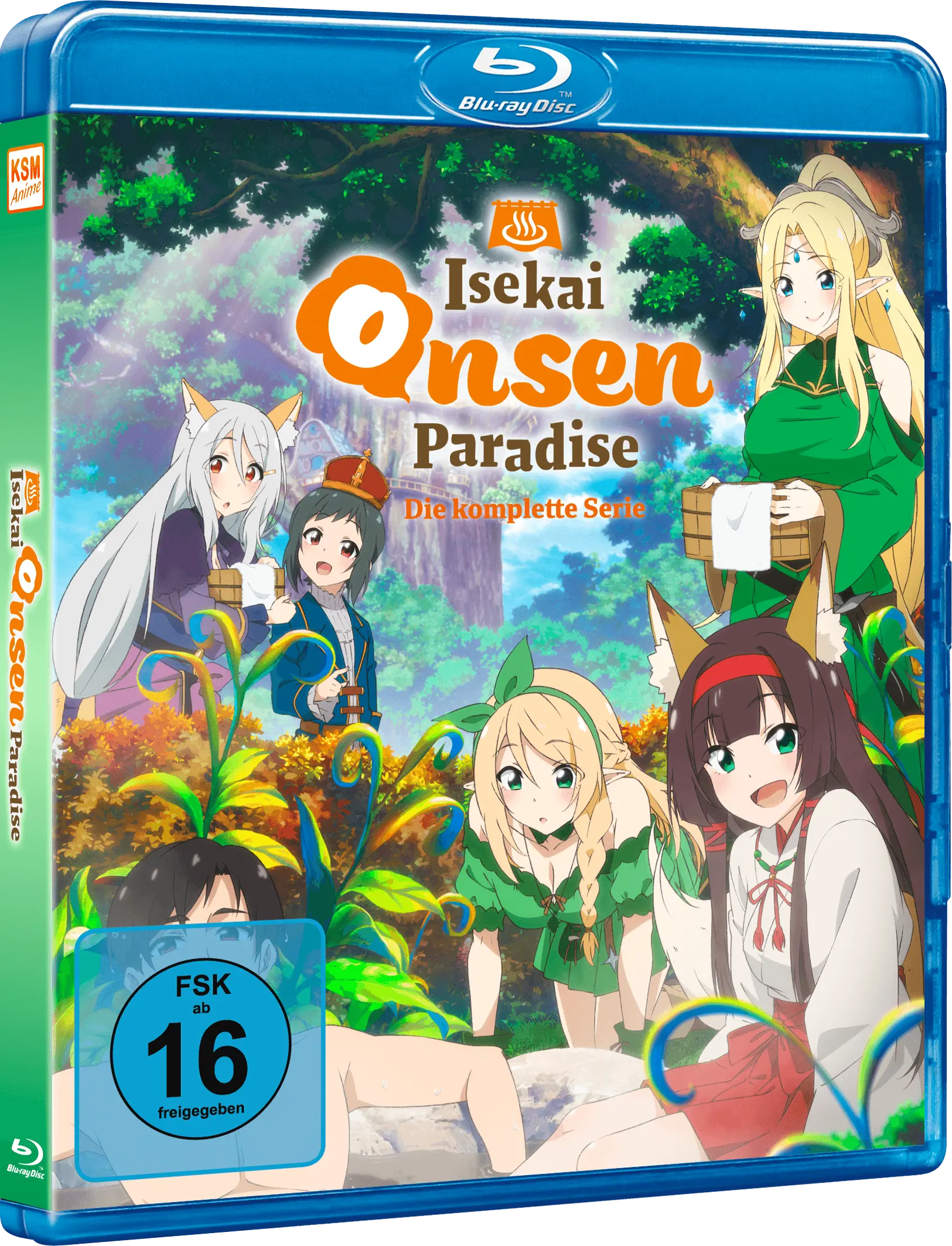 Blu-ray-Disc, Anime-Serie, Komplettserie, Fantasy-Anime, Blu-ray-Hülle