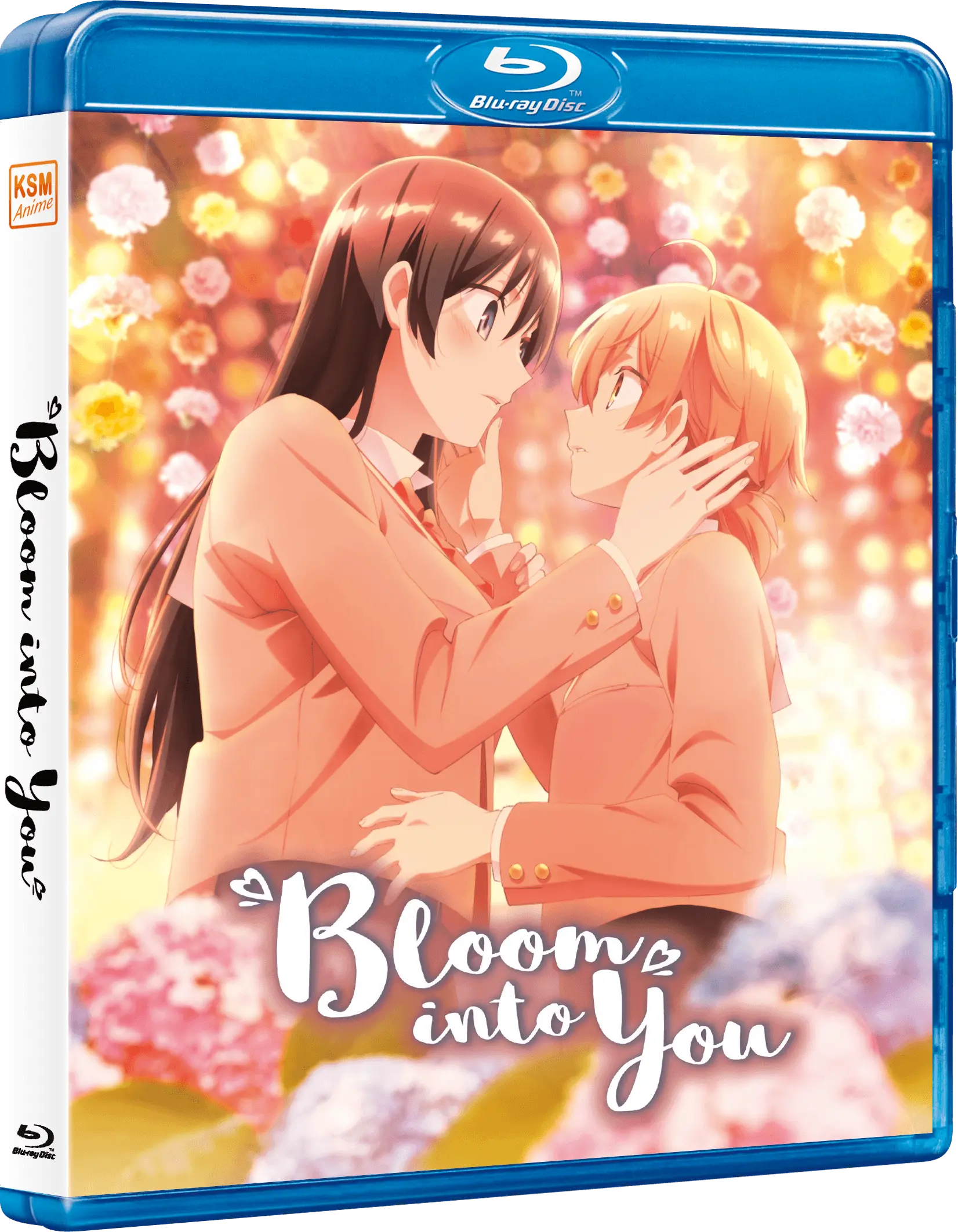 Bloom Into You - Die komplette Serie [Blu-ray]