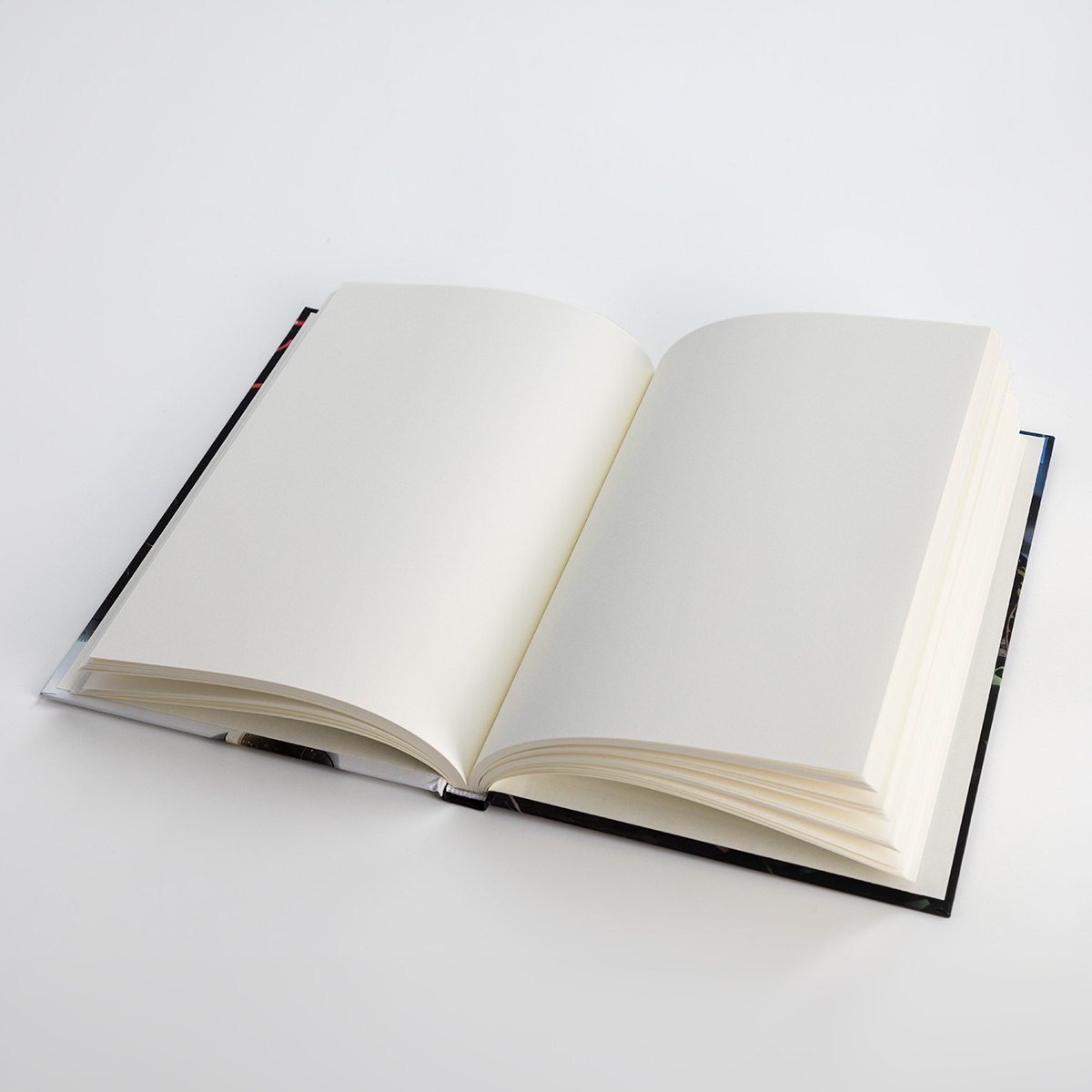 Momonga - Notizbuch Momonga - Notizbuch