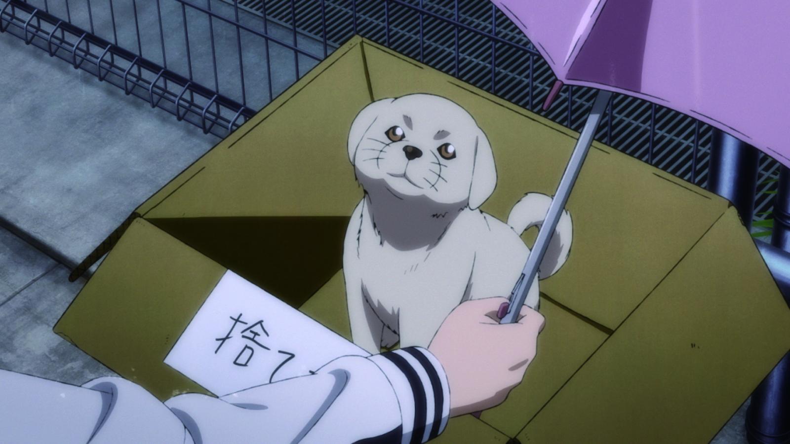 Hinamatsuri - Volume 2: Episode 05-08 Blu-ray Hinamatsuri - Volume 2: Episode 05-08 Blu-ray