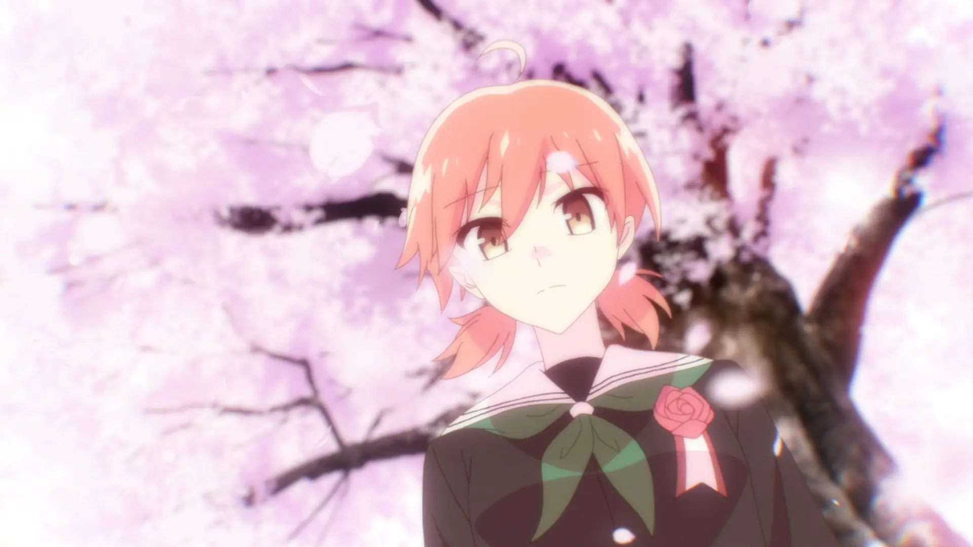 Bloom Into You - Die komplette Serie [Blu-ray]