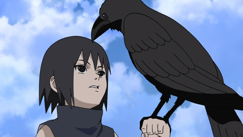 Naruto Shippuden - Staffel 22: Episode 671-678 (uncut) Blu-ray Naruto Shippuden - Staffel 22: Episode 671-678 (uncut) Blu-ray