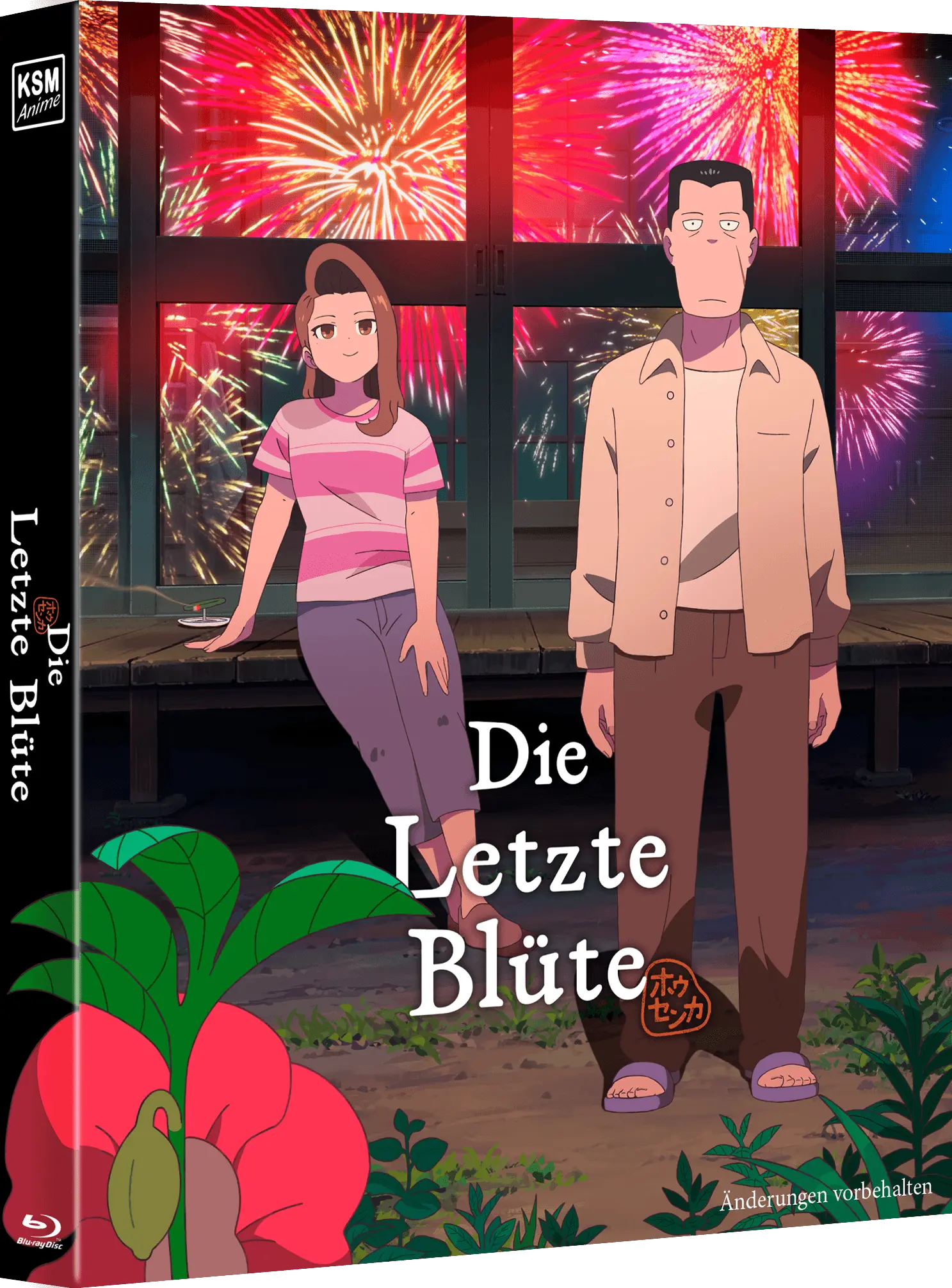 Anime-Blu-ray, Blu-ray-Hülle, Illustriertes Cover, Feuerwerk, Zwei Figuren