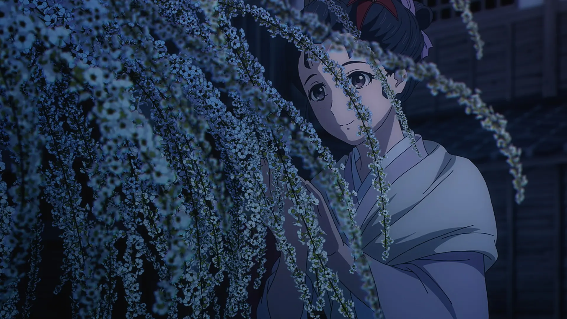 Sword of the Demon Hunter - Volume 1: Episode 01-12 [Blu-ray]