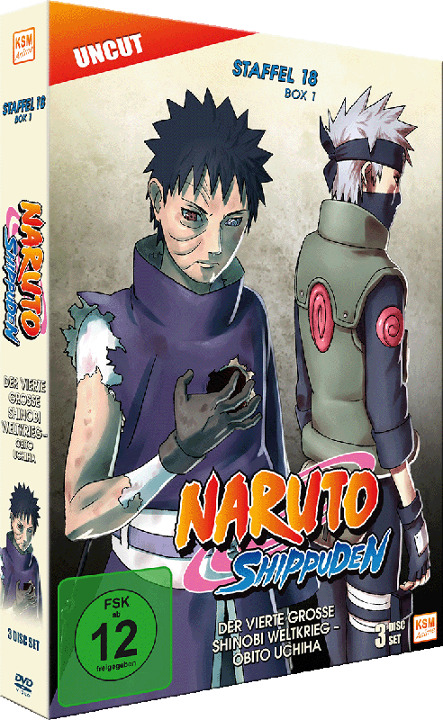 Naruto Shippuden - Staffel 18 Box 1: Episode 593-602 (uncut) [DVD] Image 23