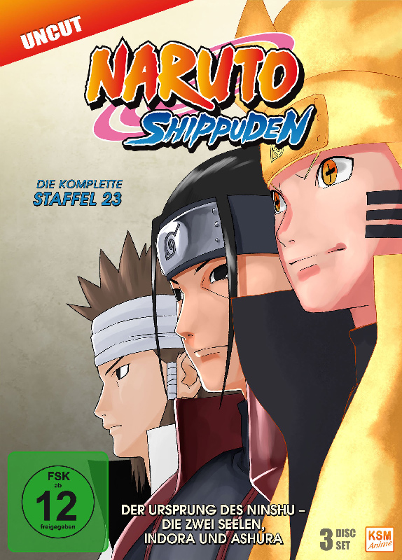 Naruto Shippuden - Staffel 23: Episode 679-689 (uncut) [DVD]
