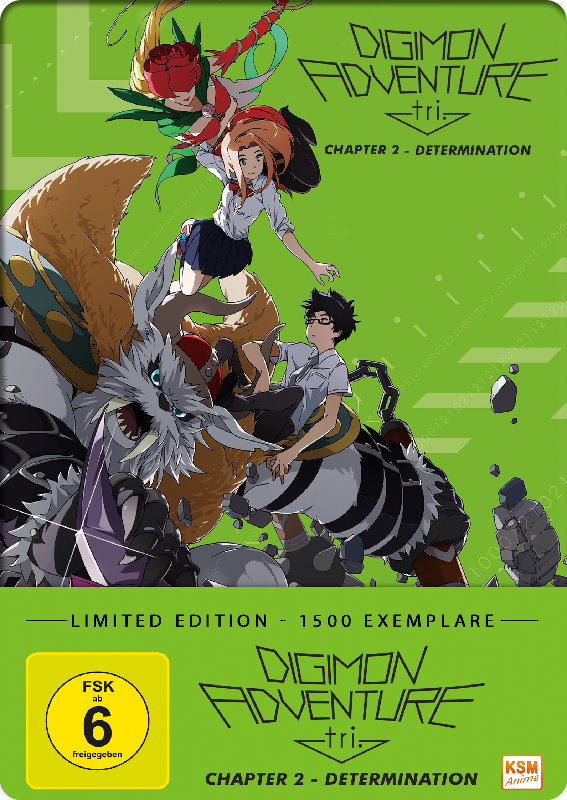 Digimon Adventure tri. Chapter 2 - Determination im FuturePak [DVD]
