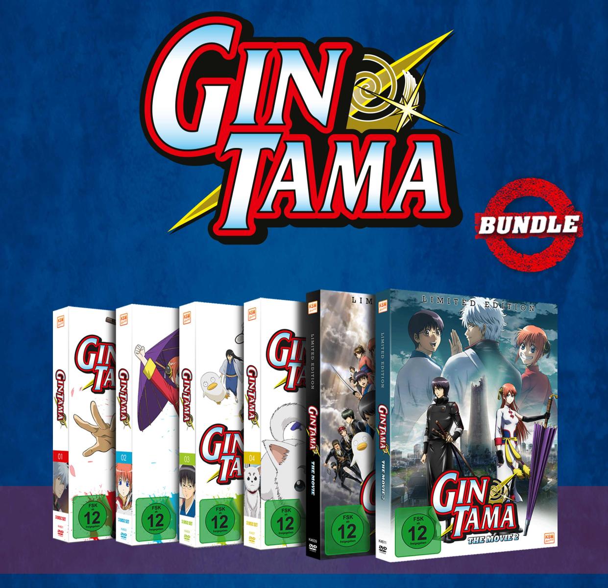 Gintama Fan-Bundle Vol. 1-4 mit Anime Movies [DVD]