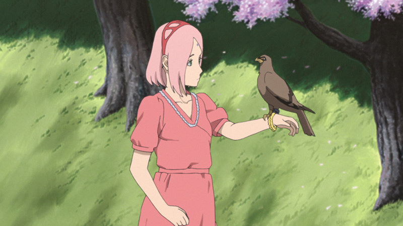 Naruto Shippuden - Staffel 26: Episode 714-720 (uncut) Blu-ray Naruto Shippuden - Staffel 26: Episode 714-720 (uncut) Blu-ray